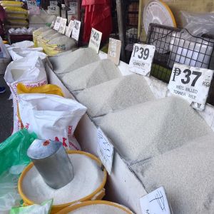 whatsapp image 2023 05 11 at.02.59