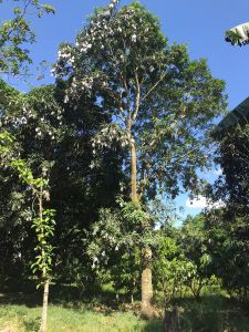 whatsapp image 2023 05 13 at.24.24