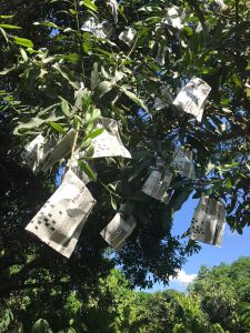 whatsapp image 2023 05 13 at.24.25