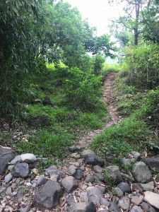 whatsapp image 2023 05 16 at.11.31