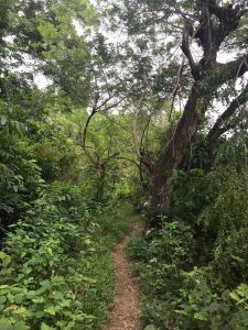 whatsapp image 2023 05 16 at.11.33