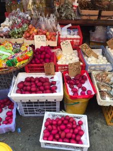 whatsapp image023 05 18 at 14.05.03