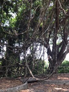 whatsapp image 2023 05 23 at.13.19