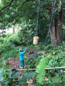 whatsapp image023 054 at 15.16.40