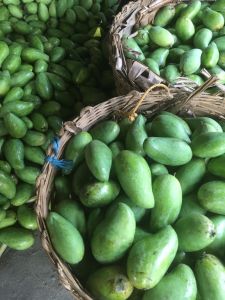 whatsapp image 2023 05 24 at.16.41