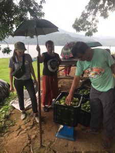 whatsapp image 2023 05 26 at.43.52