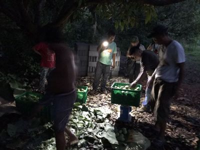 whatsapp image 2023 05 26 at.43.55